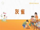 统编版（2024）三年级语文上册25灰雀课件3