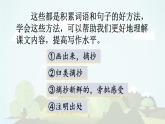 语文园地七  -2024-2025学年三年级语文上册同步精品课件（统编版）