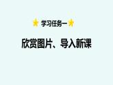 第23课 《梅兰芳蓄须》 -2024-2025学年四年级语文上册同步精品课件（统编版）