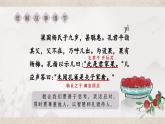 部编版小学语文五年级下册第八单元第21课《杨氏之子》课件 教案 教学设计 课堂实录视频等