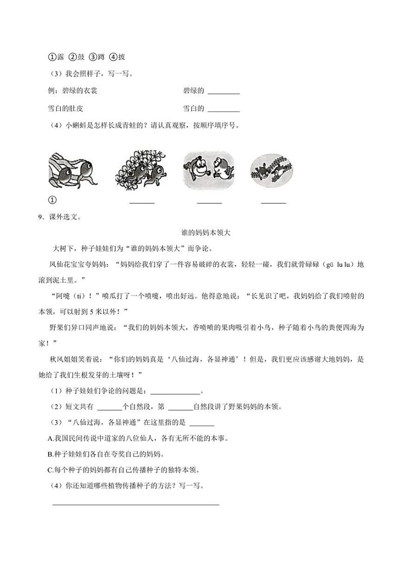 [语文]广东省深圳市罗湖区二年级上2024～2025学年第一次月考试卷(有答案)第3页