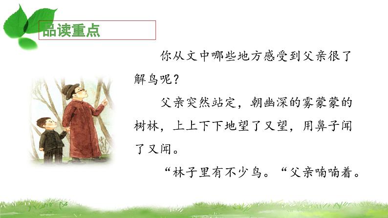 《父亲、树林和鸟》教学课件（第一课时）第7页