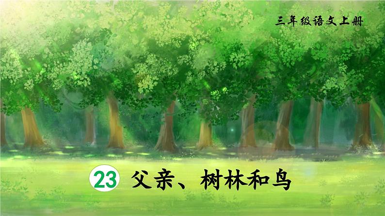 《父亲、树林和鸟》精品课件（第二课时）01