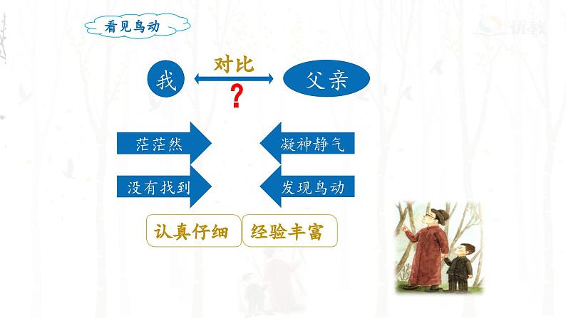 《父亲、树林和鸟》名师课件（第二课时）第6页