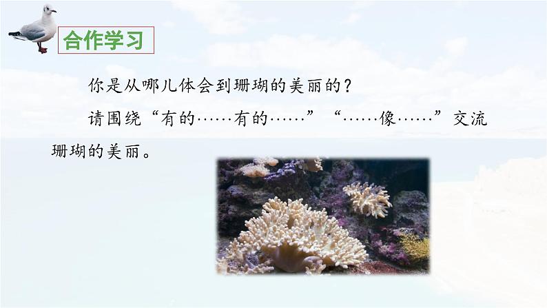 《富饶的西沙群岛》教学课件（第二课时）第6页