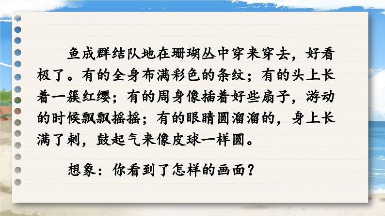 《富饶的西沙群岛》教学课件1（第二课时）第8页