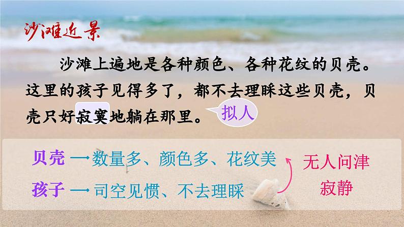 《海滨小城》优秀课件（第二课时）07