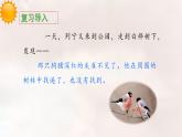 《灰雀》教学课件（第二课时）