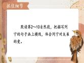 《灰雀》教学课件1（第二课时）