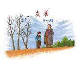 《灰雀》名师课件（第一课时）