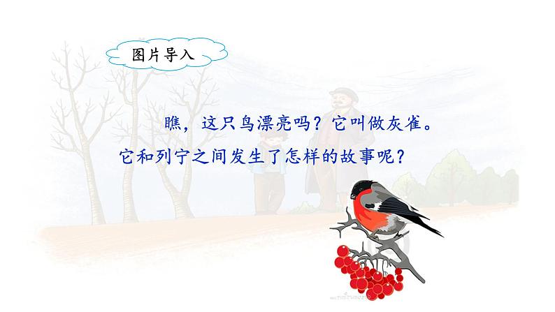 《灰雀》名师课件（第一课时）第4页