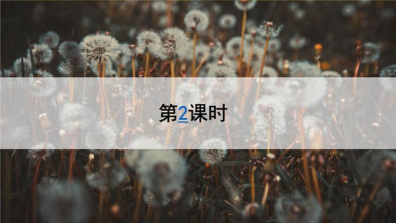 《金色的草地》教学课件1（第二课时）第2页