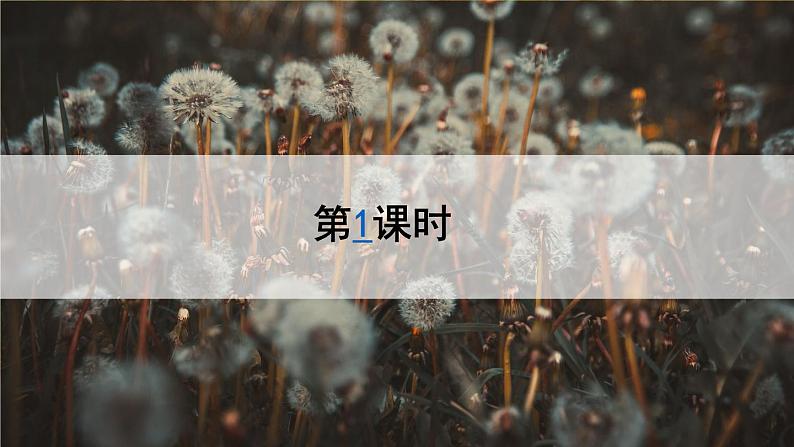 《金色的草地》教学课件1（第一课时）第1页