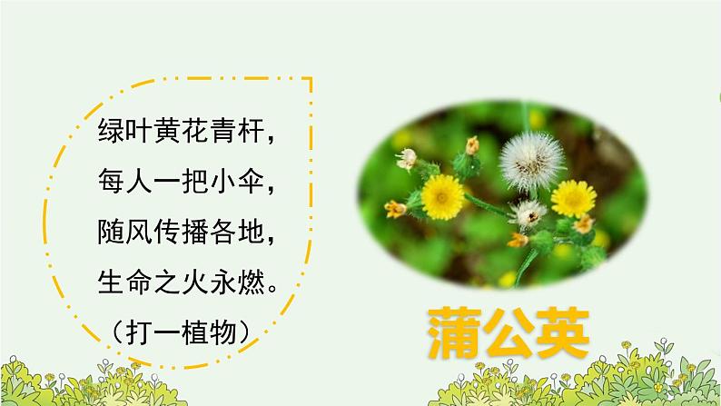 《金色的草地》优质课件（第一课时）第2页