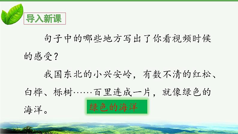 《美丽的小兴安岭》教学课件（第一课时）05