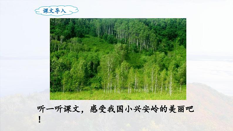 《美丽的小兴安岭》名师课件（第一课时）第4页