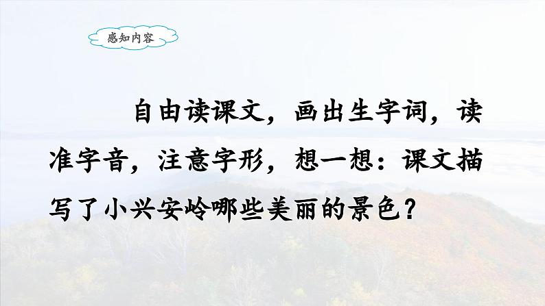 《美丽的小兴安岭》名师课件（第一课时）第5页