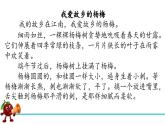 《我愛故鄉(xiāng)的楊梅》教學(xué)課件