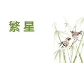 统编版（2024）四年级语文上册4繁星课件6