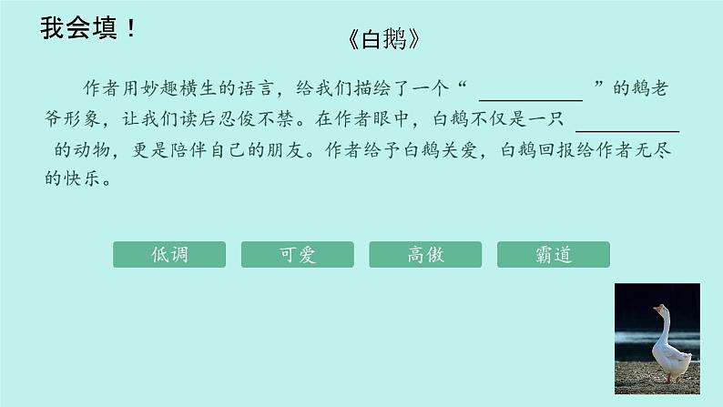 部编人教版小学四年级语文下册第四单元复习课教学设计+课件+作业设计+课堂实录06