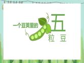 统编版（2024）四年级语文上册5一个豆荚里的五粒豆课件1
