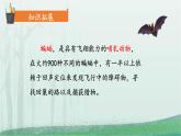 统编版（2024）四年级语文上册6夜间飞行的秘密课件1