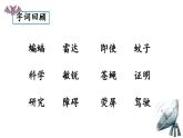 统编版（2024）四年级语文上册6夜间飞行的秘密课件2