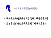 统编版（2024）四年级语文上册6夜间飞行的秘密课件2