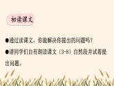 统编版（2024）四年级语文上册6夜间飞行的秘密课件3