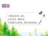 统编版（2024）四年级语文上册8蝴蝶的家课件1