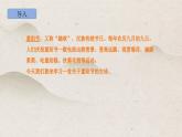 人教版 语文 三年级下册 第三单元 《九月九日忆山东兄弟》课件