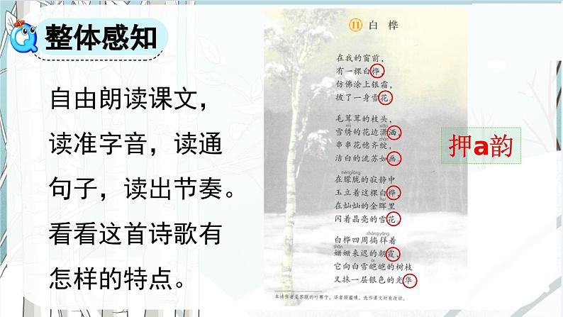 《白桦》课件第5页