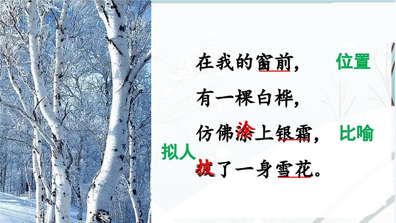 《白桦》课件第6页