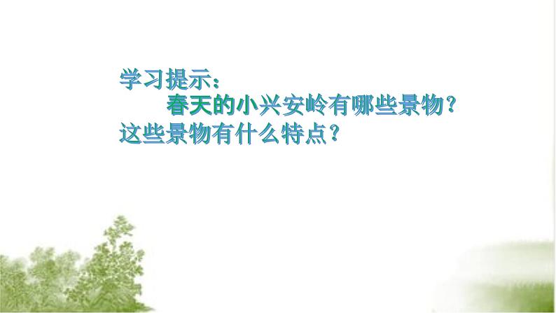 部编版三上第六单元20美丽的小兴安岭第二课时教学设计、ppt、作业、反思03