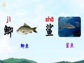 三上《语文园地六》精品课件（第二课时）