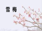 统编版（2024）四年级语文上册9古诗三首-雪梅课件2
