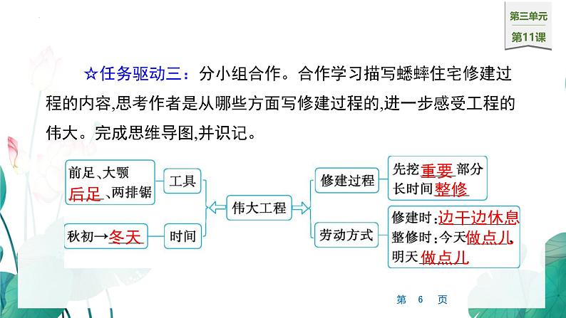 统编版（2024）四年级语文上册11蟋蟀的住宅课件206