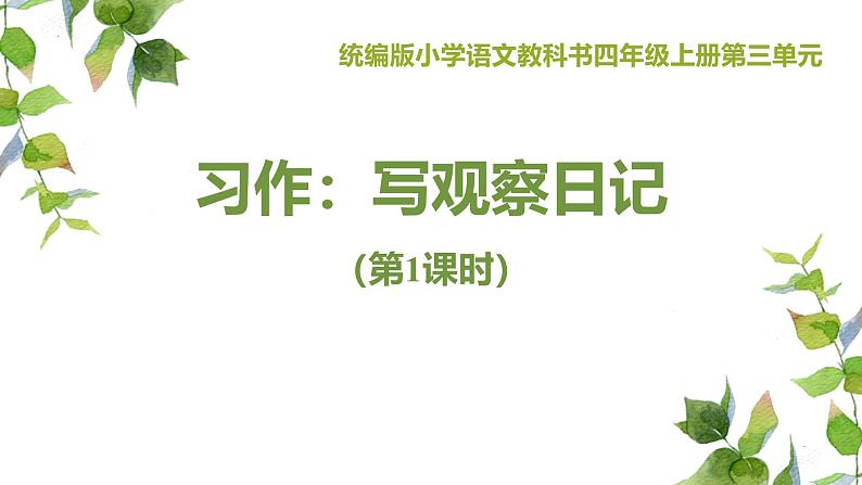 统编版（2024）四年级语文上册习作：写观察日记第1课时课件01