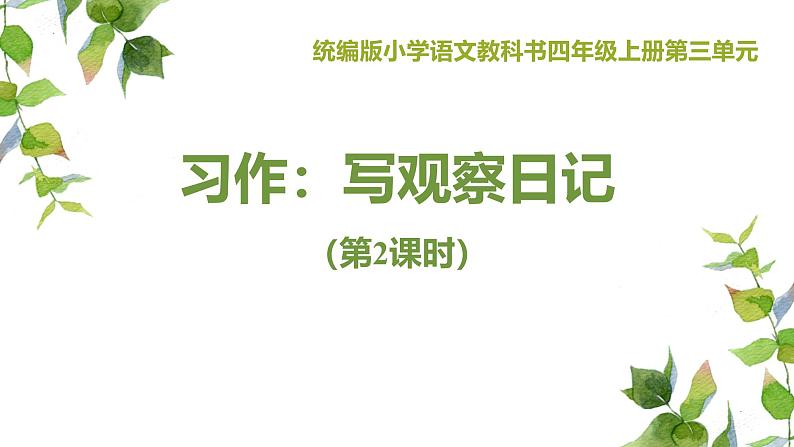 统编版（2024）四年级语文上册习作：写观察日记第2课时课件01