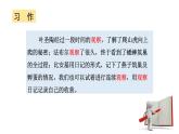 统编版（2024）四年级语文上册习作：写观察日记课件1