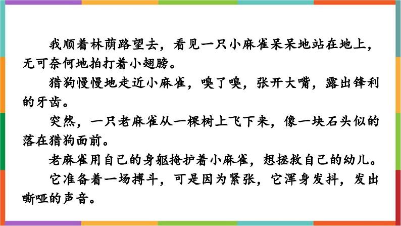 统编版（2024）四年级语文上册16麻雀课件1第4页