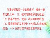 统编版（2024）四年级语文上册习作：生活万花筒课件1