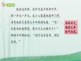 统编版（2024）四年级语文上册习作：生活万花筒课件3