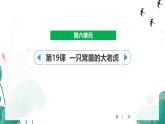 统编版（2024）四年级语文上册19一只窝囊的大老虎课件2