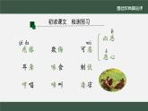 《母鸡》（第一课时）课件