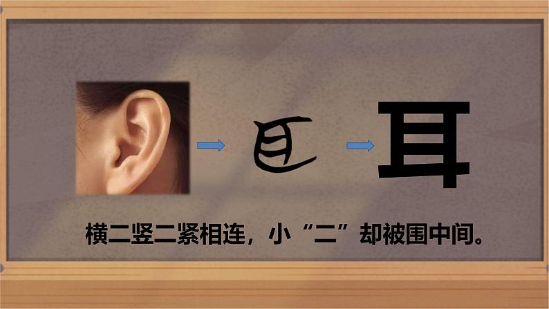 2024年秋一年级上册3口耳目手足 课件第8页