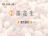 统编版（2024）五年级语文上册2落花生第1课时课件1