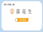 统编版（2024）五年级语文上册2落花生第1课时课件2