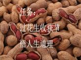 统编版（2024）五年级语文上册2落花生第1课时课件2
