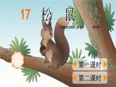 《松鼠》课件